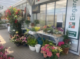 Blumen auf und vor Tischen im Verkaufsladen